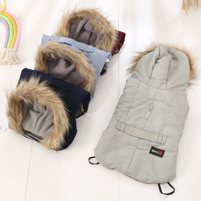 Autumn/winter wear for small dogs | Luxury Home Accessories | Heulog Glow