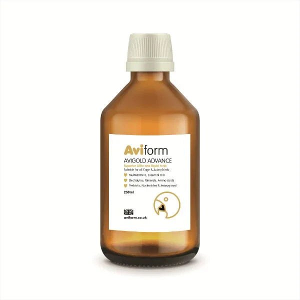 Avigold Advance All In One Liquid Birds Tonic 250ml | Luxury Home Accessories | Heulog Glow