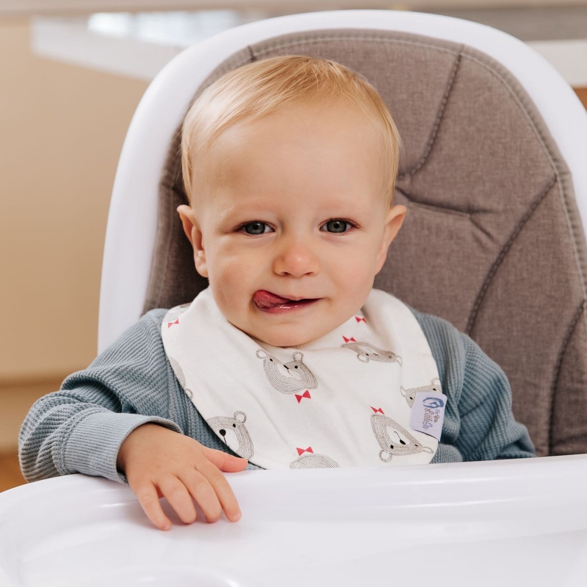 Baby Bandana Dribble Bibs Cotton Pack Of 8 - Boys | Luxury Home Accessories | Heulog Glow