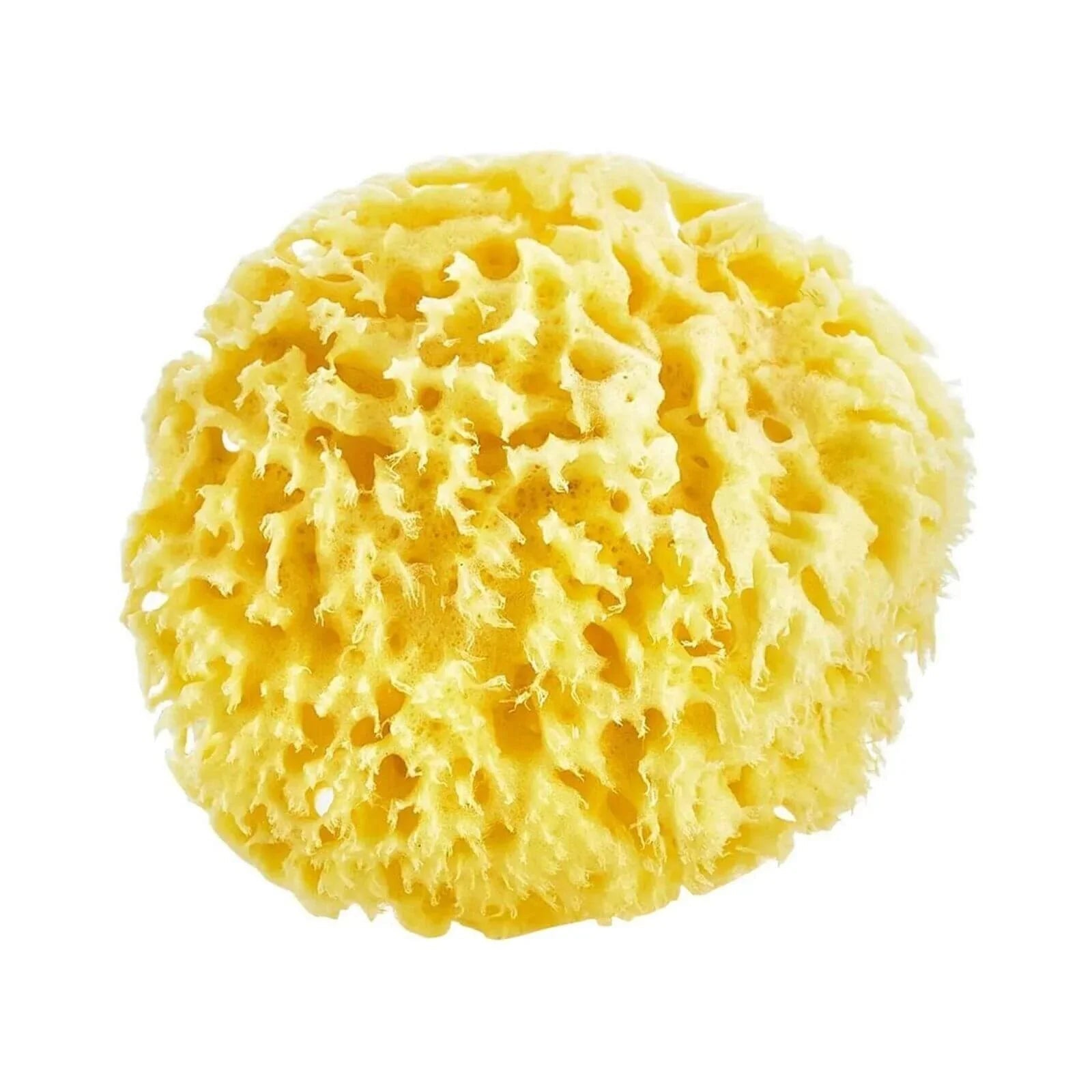 Babyjem Natural Sea Bath Sponge | Luxury Home Accessories | Heulog Glow