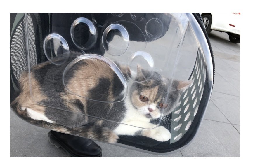 Bag out portable transparent cat dog backpack foldable four-sided breathable Messenger portable cat bag | Luxury Home Accessories | Heulog Glow