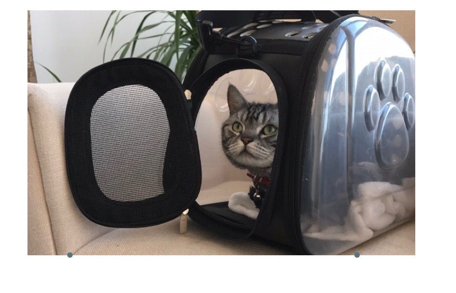 Bag out portable transparent cat dog backpack foldable four-sided breathable Messenger portable cat bag | Luxury Home Accessories | Heulog Glow