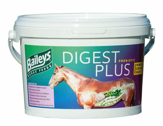 Baileys Digest Plus | Luxury Home Accessories | Heulog Glow