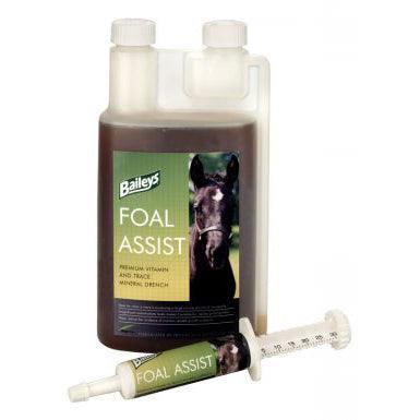 Baileys Foal Assist | Luxury Home Accessories | Heulog Glow