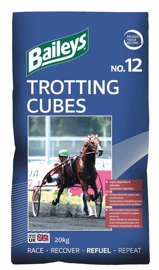 Baileys No. 12 Trotting Cubes | Luxury Home Accessories | Heulog Glow