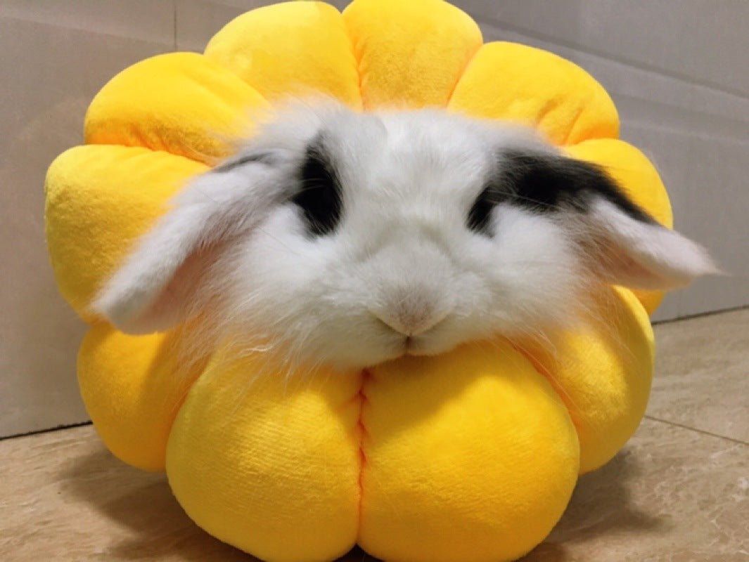 Baiquanying Short Sterilization Circle Skin Disease | Luxury Home Accessories | Heulog Glow