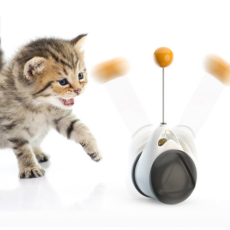 Balance swing car funny cat toy | Luxury Home Accessories | Heulog Glow