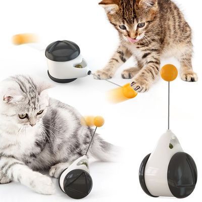 Balance swing car funny cat toy | Luxury Home Accessories | Heulog Glow