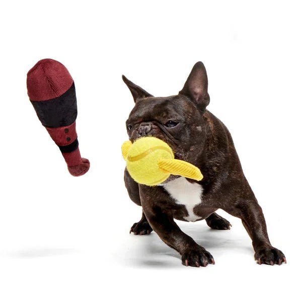 Bark Harry Potter Quidditch Set | Luxury Home Accessories | Heulog Glow