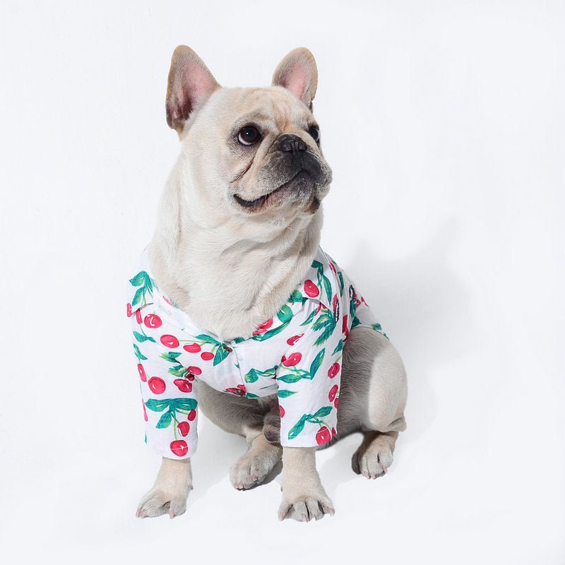 Beach Style Fashion Pet Clothing Clothes | Luxury Home Accessories | Heulog Glow
