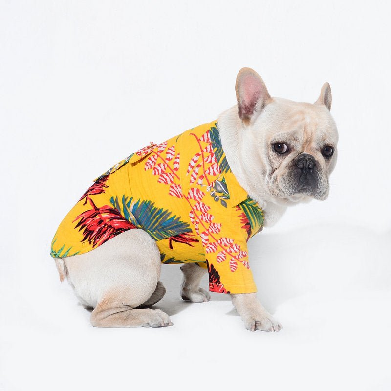 Beach Style Fashion Pet Clothing Clothes | Luxury Home Accessories | Heulog Glow
