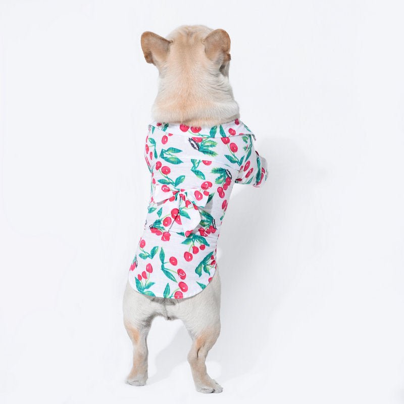 Beach Style Fashion Pet Clothing Clothes | Luxury Home Accessories | Heulog Glow