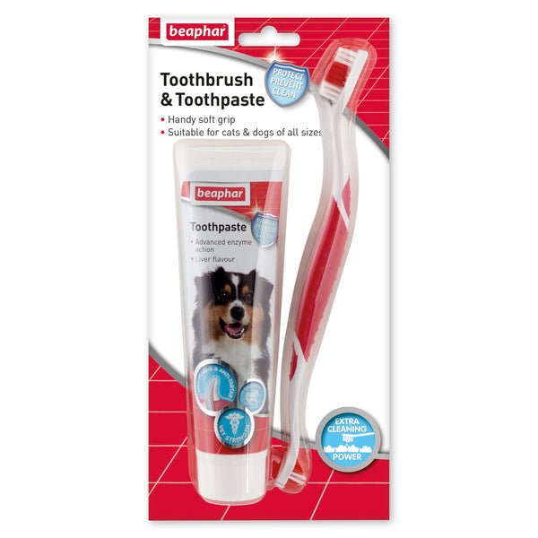 Beaphar All Size Dogs Dental Kit | Luxury Home Accessories | Heulog Glow