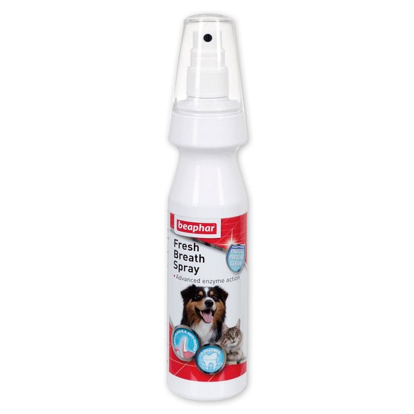 Beaphar Dog Fresh Breath Spray 150ml | Luxury Home Accessories | Heulog Glow