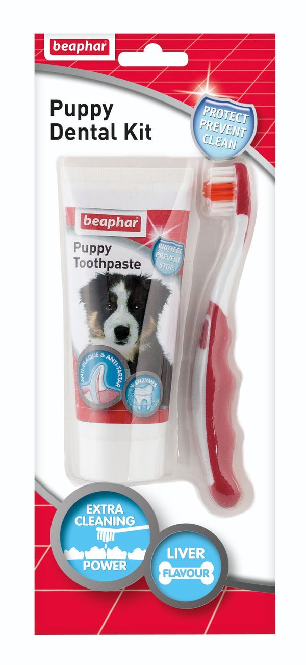 Beaphar Puppy Dental Kit 50g | Luxury Home Accessories | Heulog Glow