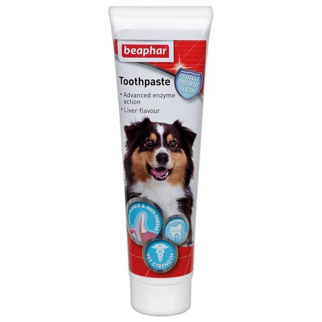 Beaphar Toothpaste x6 | Luxury Home Accessories | Heulog Glow