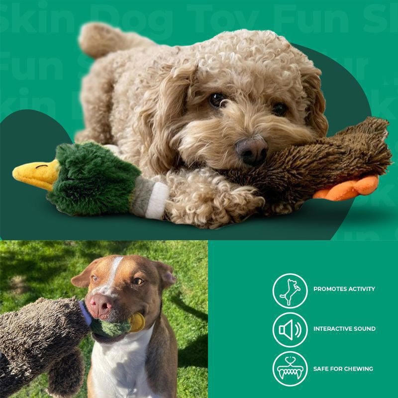 Best Pet Supplies 2-in-1 Stuffless Squeaky Dog Toys With Soft, Durable Fabric For Small, Medium, And Large Pets, No Stuffing For Indoor Play, Supports Active Biting And Play - 1Wild Duck | Luxury Home Accessories | Heulog Glow