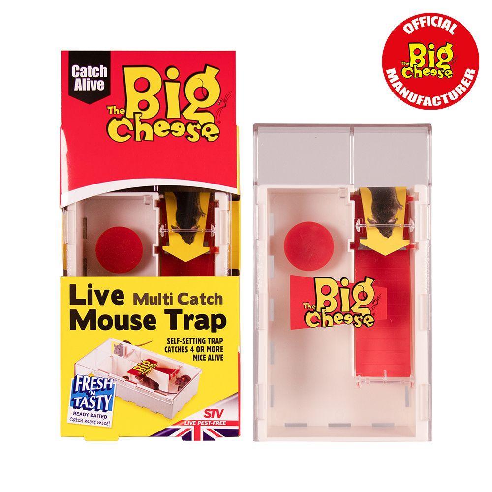 Big Cheese Live Mouse Multi Catch Trap | Luxury Home Accessories | Heulog Glow