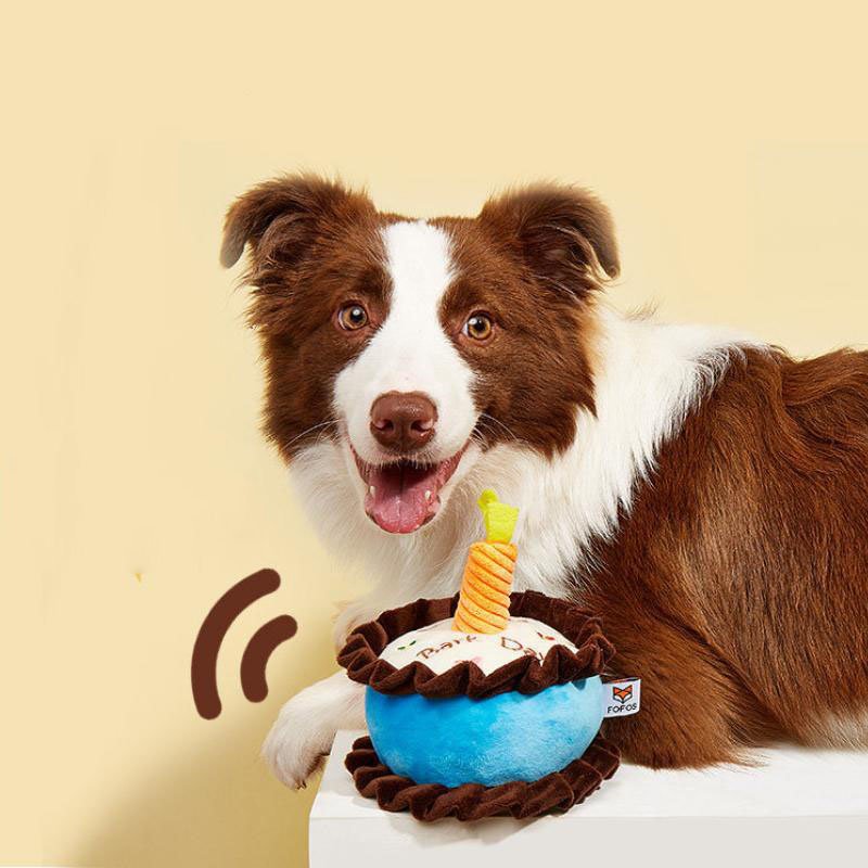 Bite-resistant Teething Vocal Catnip Birthday Cake Toy | Luxury Home Accessories | Heulog Glow