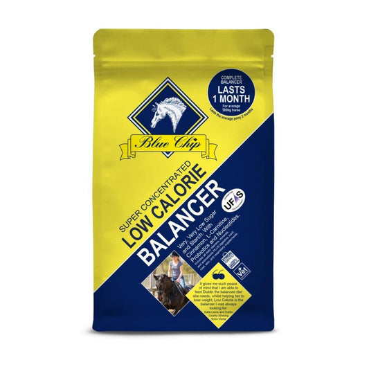 Blue Chip SC Low Calorie Balancer | Luxury Home Accessories | Heulog Glow