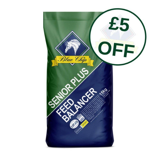 Blue Chip Senior Plus £5 Off | Luxury Home Accessories | Heulog Glow