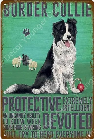 Boarder Collie Dog Tin Sign | Luxury Home Accessories | Heulog Glow