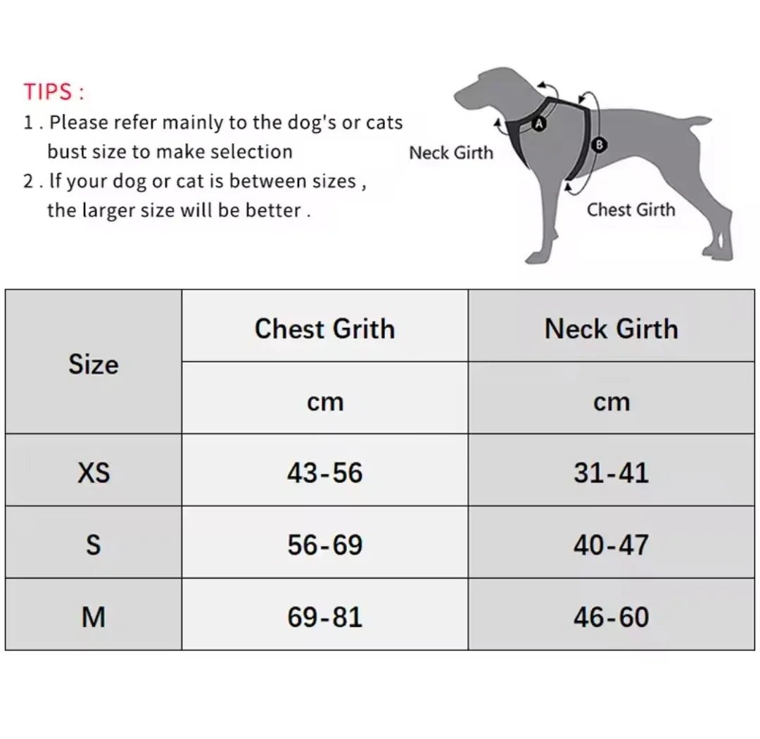 BOFFPets Small Dog Harness | Luxury Home Accessories | Heulog Glow