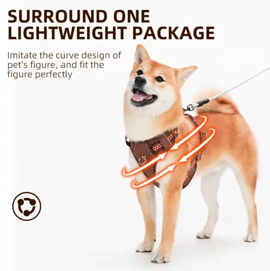 BOFFPets Small Dog Harness | Luxury Home Accessories | Heulog Glow