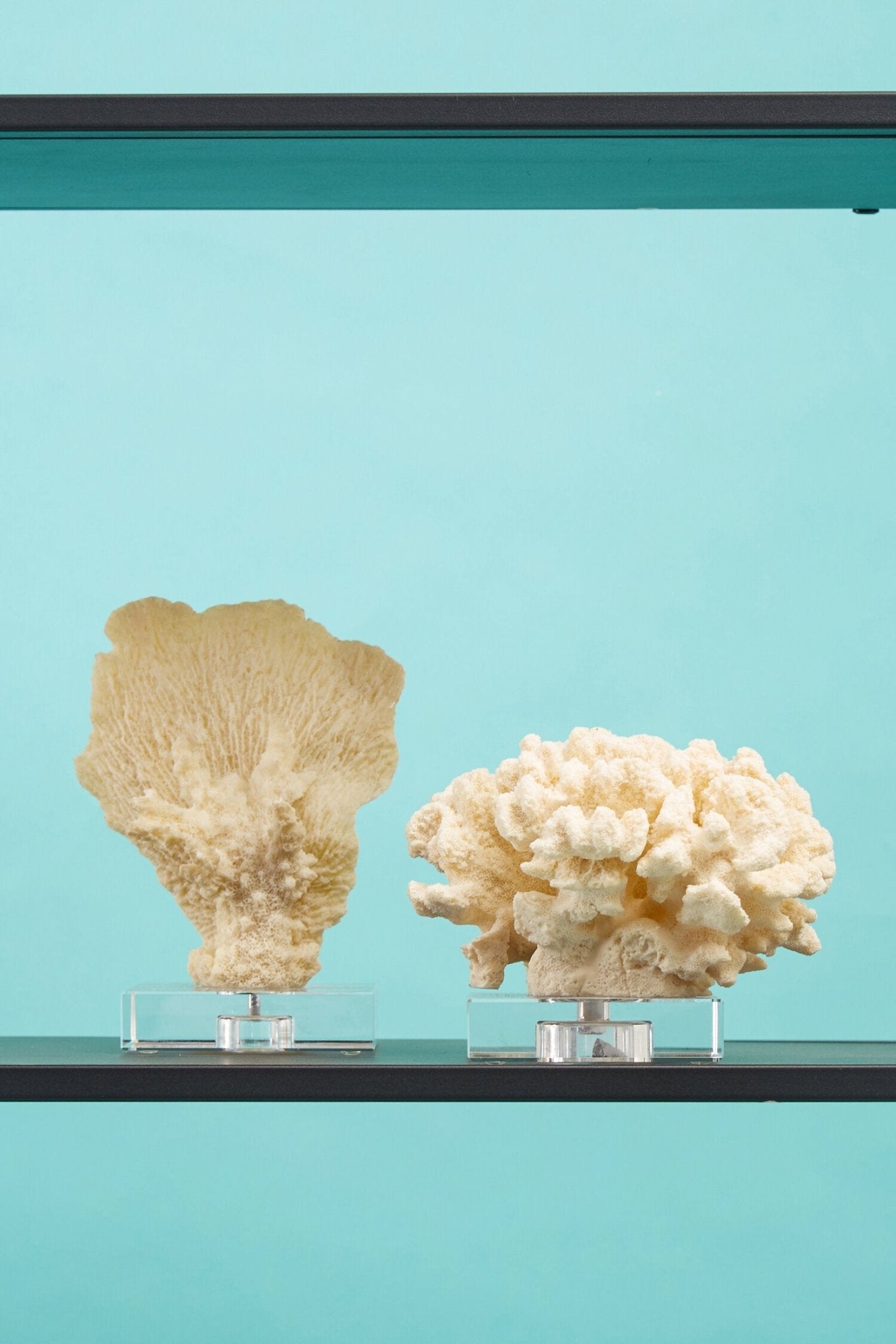 Boho Small White Coral Decor | Luxury Home Accessories | Heulog Glow