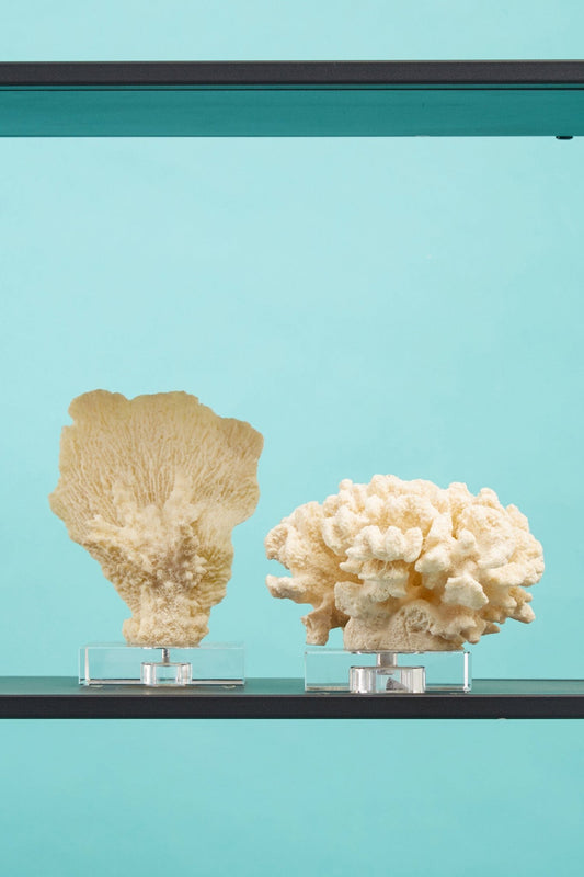 Boho Small White Coral Decor | Luxury Home Accessories | Heulog Glow