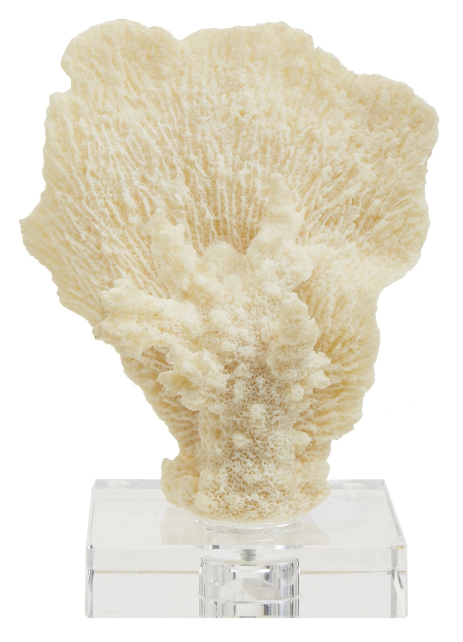 Boho Small White Coral Decor | Luxury Home Accessories | Heulog Glow