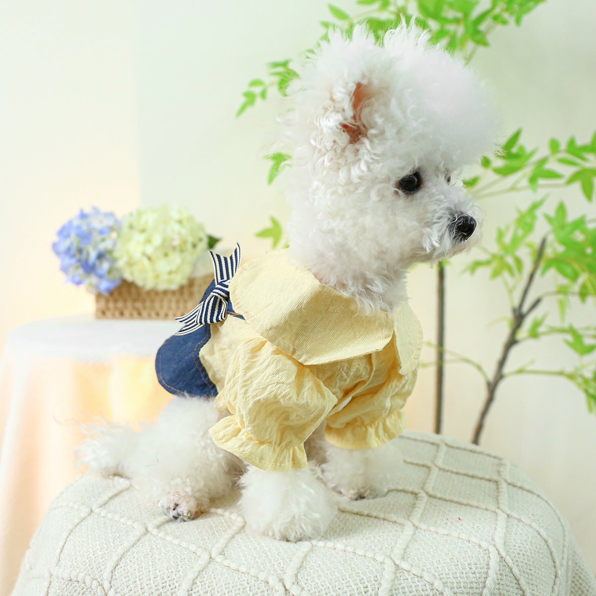 Bow Student Blue And White Bow Suspender Skirt | Luxury Home Accessories | Heulog Glow