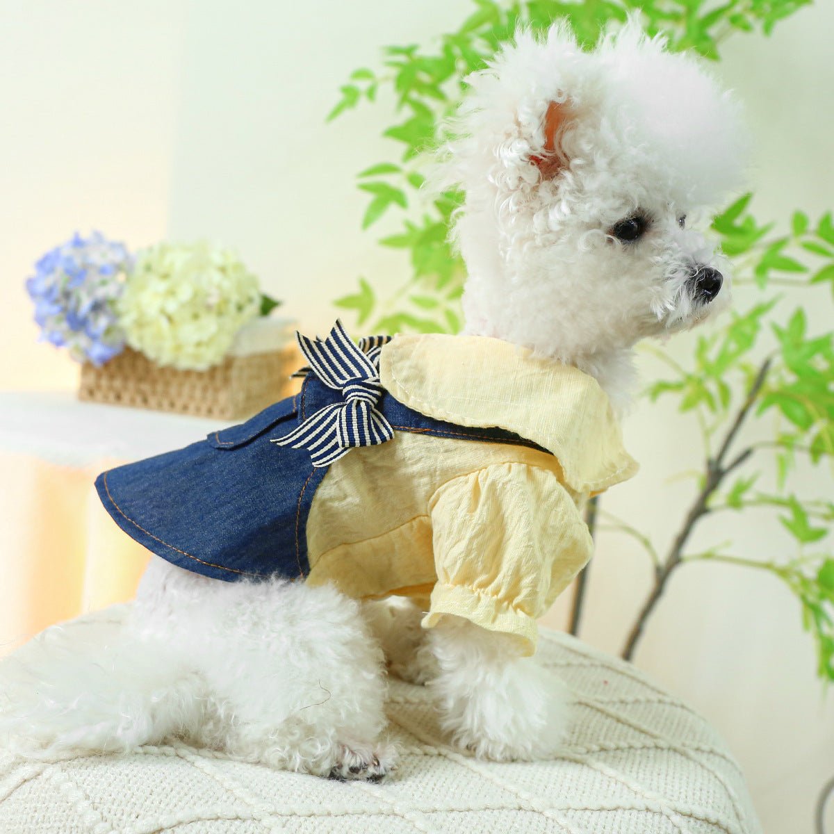 Bow Student Blue And White Bow Suspender Skirt | Luxury Home Accessories | Heulog Glow