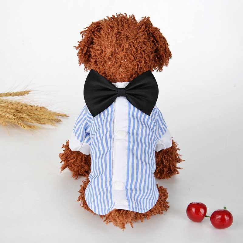 Breathable spring and summer pet clothing | Luxury Home Accessories | Heulog Glow