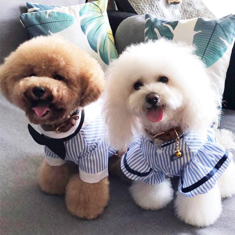 Breathable spring and summer pet clothing | Luxury Home Accessories | Heulog Glow