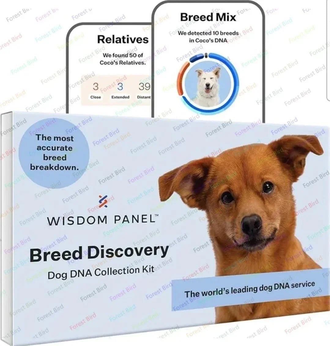 Breed Discovery Dog DNA Kit – Accurate 365+ Breed Identification, MDR1 Health Test, and Ancestry Insights | Luxury Home Accessories | Heulog Glow