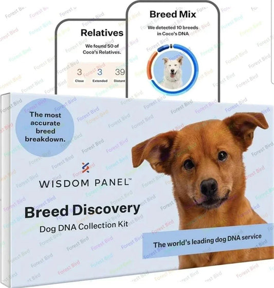 Breed Discovery Dog DNA Kit – Accurate 365+ Breed Identification, MDR1 Health Test, and Ancestry Insights | Luxury Home Accessories | Heulog Glow