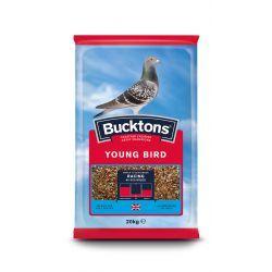 Bucktons Pigeon Young Bird | Luxury Home Accessories | Heulog Glow