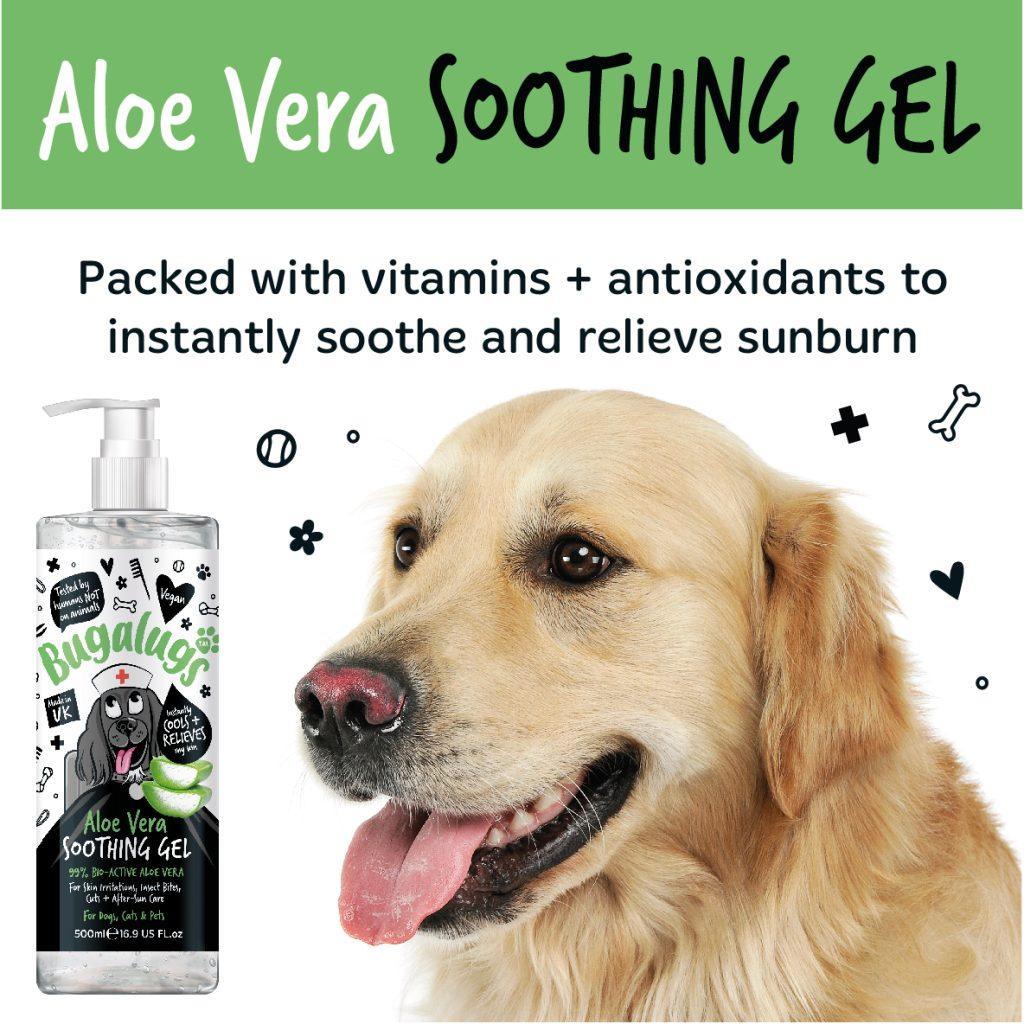 Bugalugs Aloe Vera Gel | Luxury Home Accessories | Heulog Glow