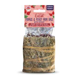 Burgess Excel Forage & Feast Mini Hay Bale Rosehip, 100g | Luxury Home Accessories | Heulog Glow