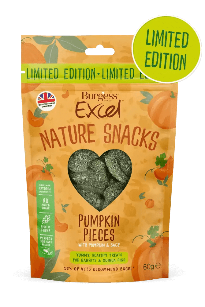 Burgess Excel Pumpkin Pieces with Pumpkin and Sage LIMITED EDITION | Luxury Home Accessories | Heulog Glow