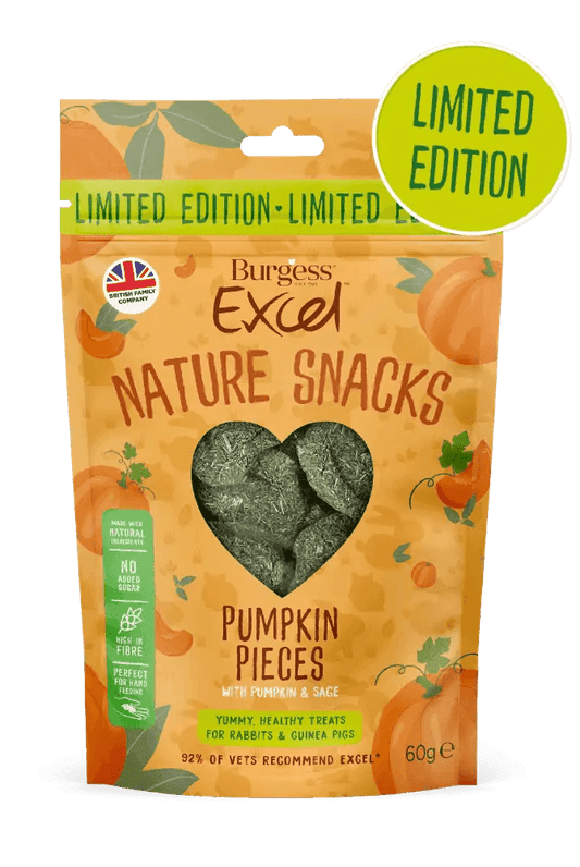 Burgess Excel Pumpkin Pieces with Pumpkin and Sage LIMITED EDITION | Luxury Home Accessories | Heulog Glow