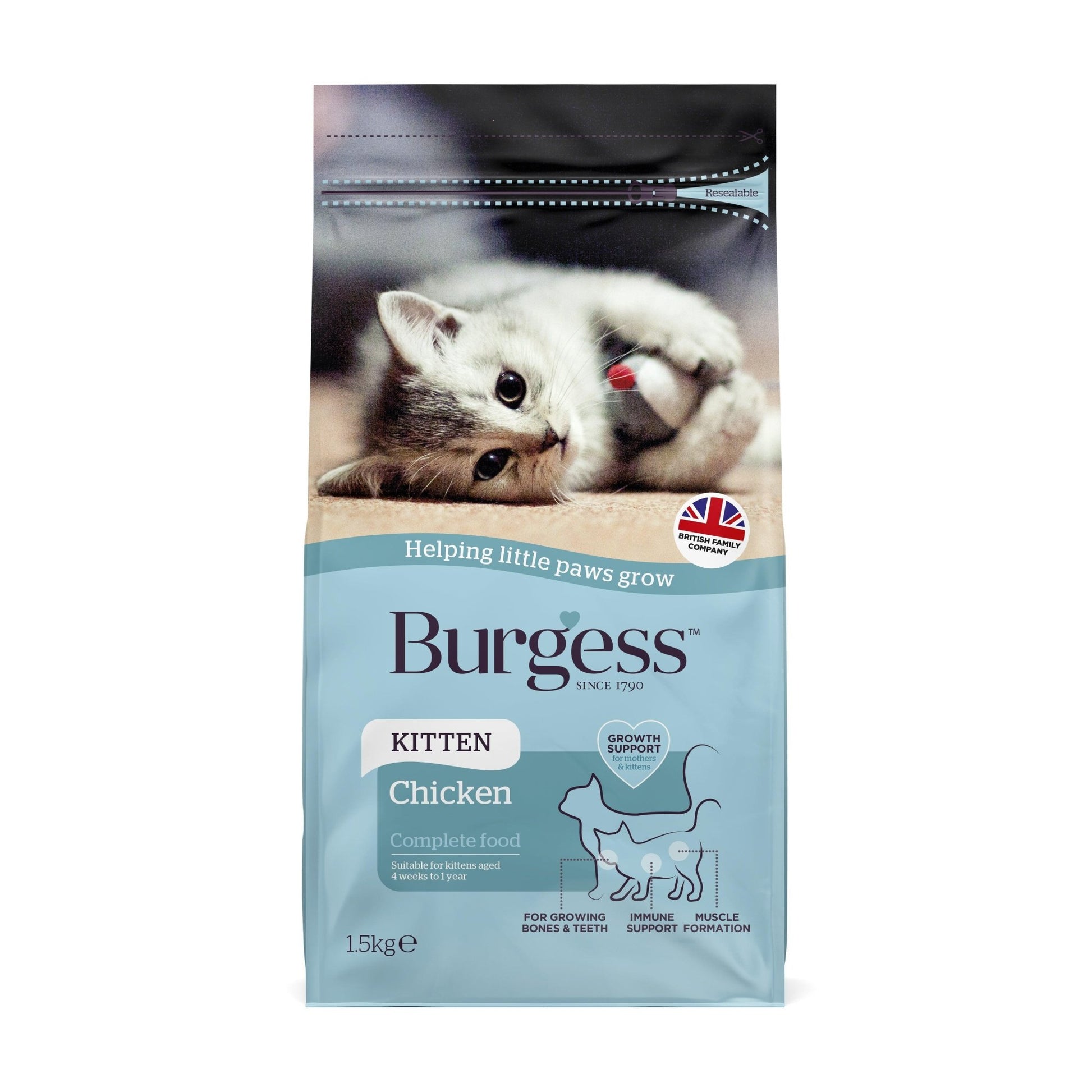 Burgess Kitten Chicken | Luxury Home Accessories | Heulog Glow