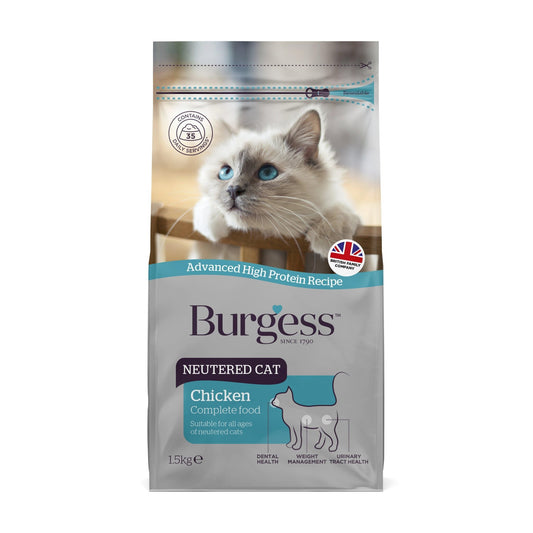 Burgess Neutered Cat Chicken | Luxury Home Accessories | Heulog Glow