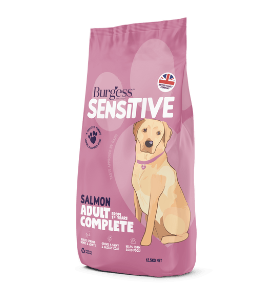 Burgess Sensitive Dog Salmon & Rice 2kg | Luxury Home Accessories | Heulog Glow