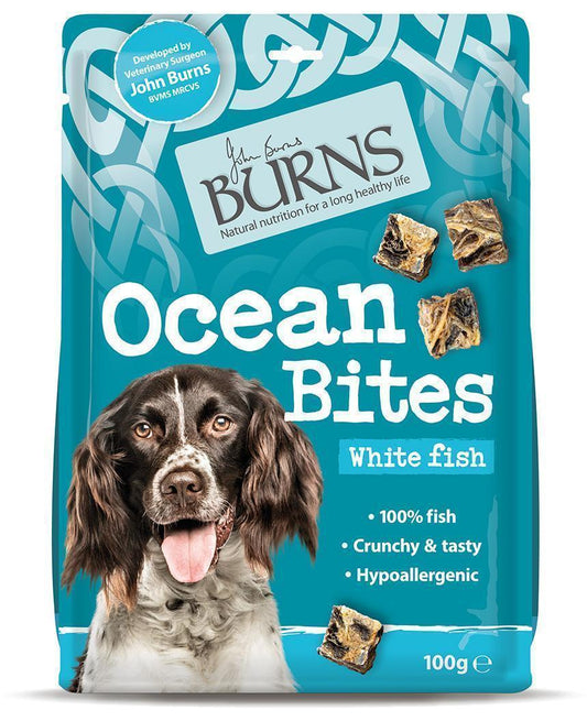 Burns Ocean Bites 100g | Luxury Home Accessories | Heulog Glow