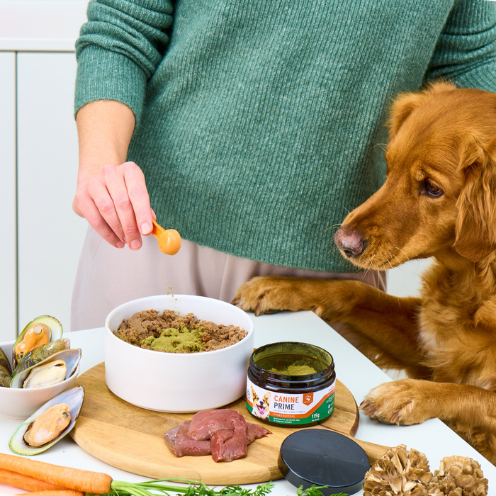 Canine Prime 40-in-1 superfood supplement | Luxury Home Accessories | Heulog Glow