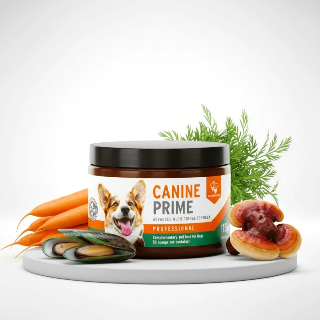 Canine Prime 40-in-1 superfood supplement | Luxury Home Accessories | Heulog Glow