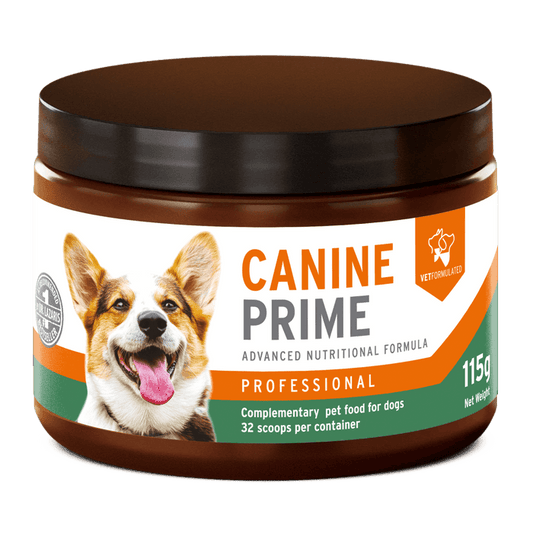 Canine Prime 40-in-1 superfood supplement | Luxury Home Accessories | Heulog Glow