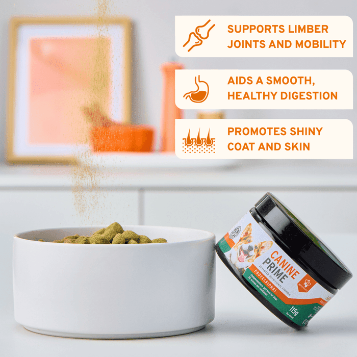 Canine Prime 40-in-1 superfood supplement | Luxury Home Accessories | Heulog Glow